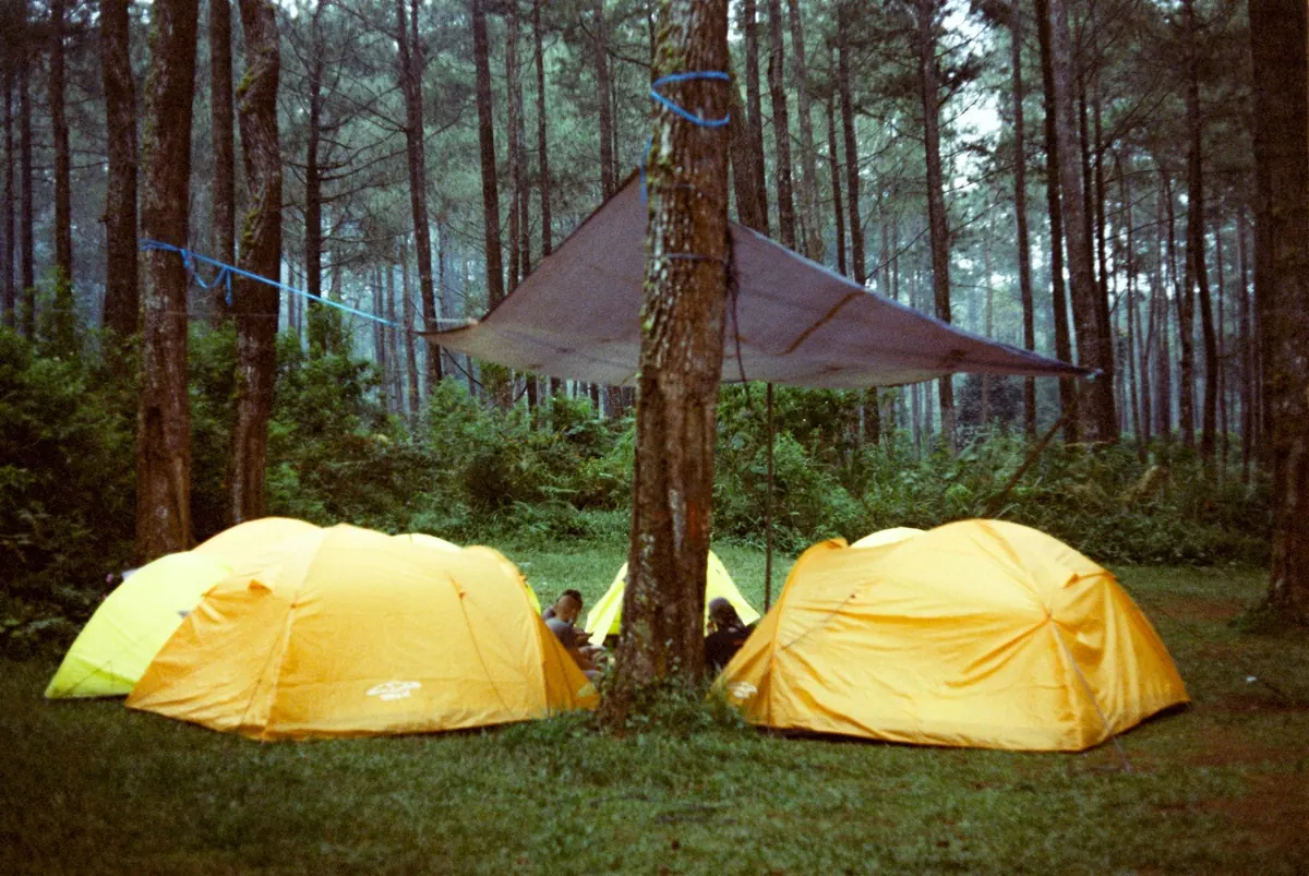 How to Build a Shelter with a Tarp in Under 15 Minutes
